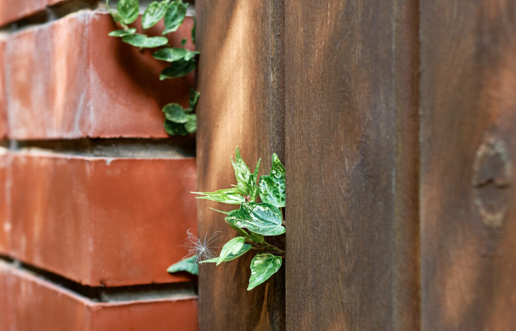 tuinschutting hardhout